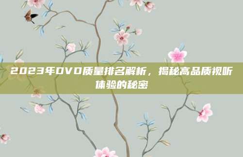 2023年DVD质量排名解析，揭秘高品质视听体验的秘密