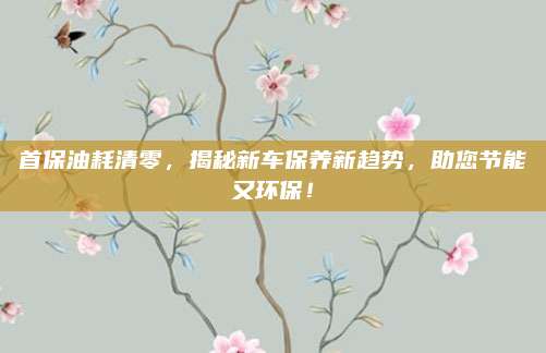 首保油耗清零,揭秘新车保养新趋势,助您节能又环保!