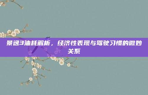 景逸3油耗解析，经济性表现与驾驶习惯的微妙关系