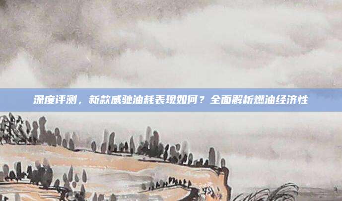 深度评测，新款威驰油耗表现如何？全面解析燃油经济性