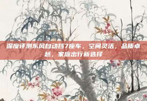 深度评测东风自动挡7座车,空间灵活,品质卓越,家庭出行新选择