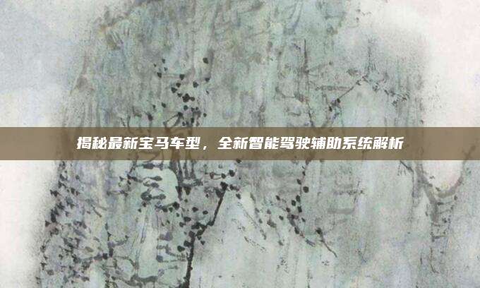 揭秘最新宝马车型,全新智能驾驶辅助系统解析