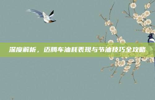 深度解析,迈腾车油耗表现与节油技巧全攻略
