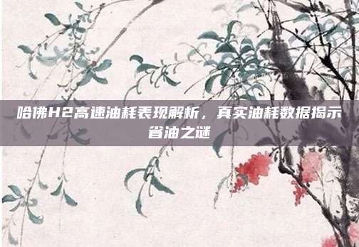 哈佛H2高速油耗表现解析,真实油耗数据揭示省油之谜