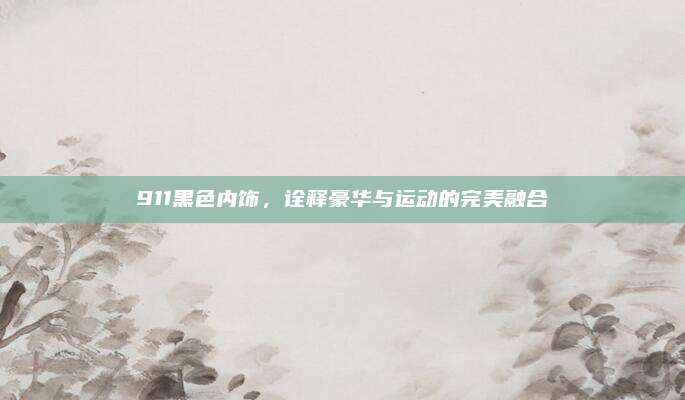 911黑色内饰,诠释豪华与运动的完美融合