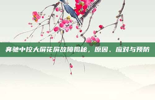 奔驰中控大屏花屏故障揭秘,原因、应对与预防