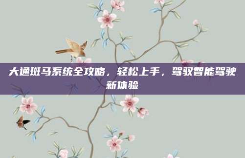 大通斑马系统全攻略,轻松上手,驾驭智能驾驶新体验