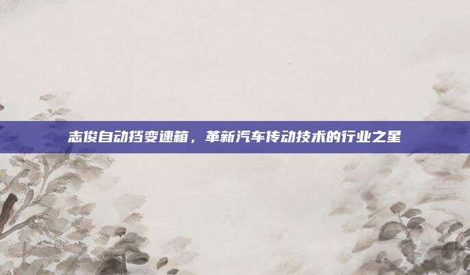 志俊自动挡变速箱，革新汽车传动技术的行业之星