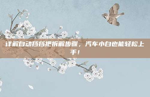 详解自动挡挡把拆解步骤,汽车小白也能轻松上手!
