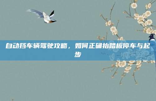 自动挡车辆驾驶攻略，如何正确抬踏板停车与起步