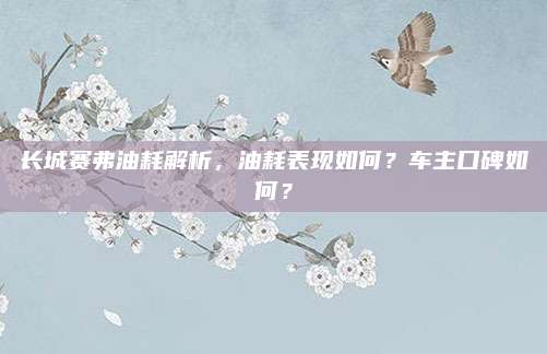 长城赛弗油耗解析，油耗表现如何？车主口碑如何？