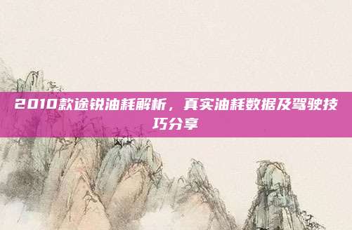 2010款途锐油耗解析，真实油耗数据及驾驶技巧分享