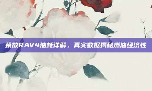 荣放RAV4油耗详解，真实数据揭秘燃油经济性