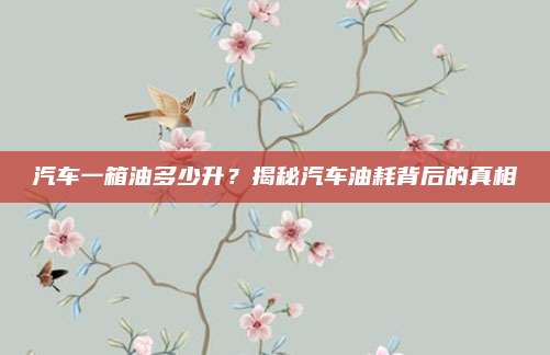 汽车一箱油多少升?揭秘汽车油耗背后的真相