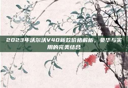 2023年沃尔沃V40新款价格解析,豪华与实用的完美结合