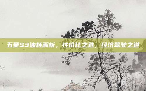 五菱S3油耗解析，性价比之选，经济驾驶之道