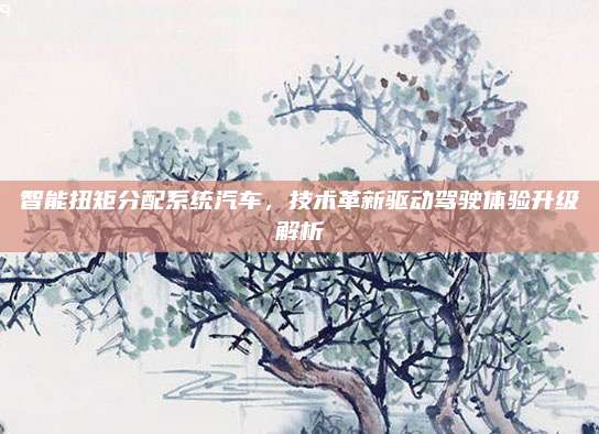 智能扭矩分配系统汽车,技术革新驱动驾驶体验升级解析