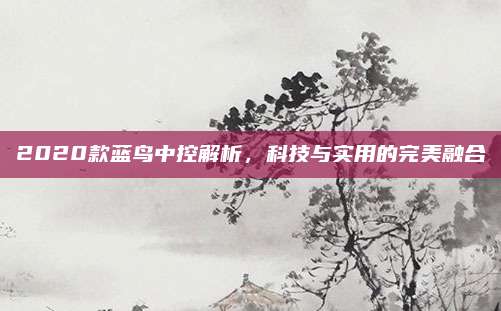 2020款蓝鸟中控解析，科技与实用的完美融合