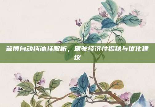 冀博自动挡油耗解析，驾驶经济性揭秘与优化建议
