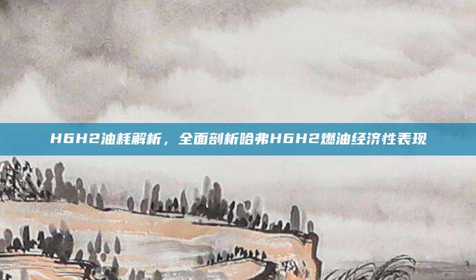 H6H2油耗解析，全面剖析哈弗H6H2燃油经济性表现