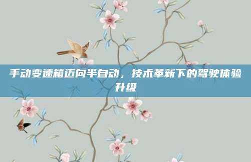 手动变速箱迈向半自动，技术革新下的驾驶体验升级