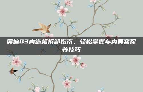 奥迪Q3内饰板拆卸指南，轻松掌握车内美容保养技巧