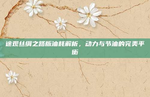 途观丝绸之路版油耗解析，动力与节油的完美平衡