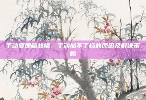 手动变速箱故障，手动加不了档的原因及解决策略