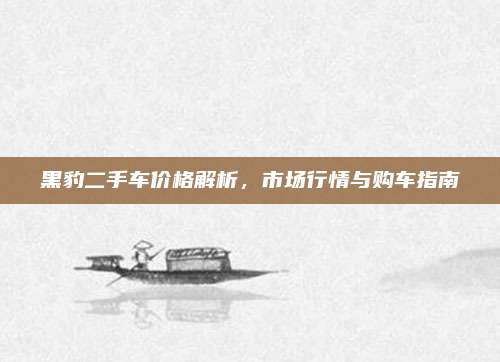 黑豹二手车价格解析，市场行情与购车指南