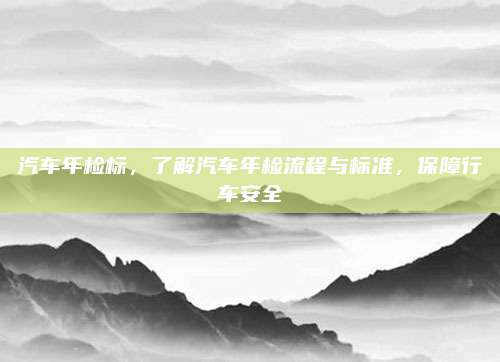 汽车年检标，了解汽车年检流程与标准，保障行车安全