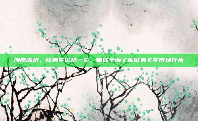 深度解析，欧曼车价格一览，带你全面了解欧曼卡车市场行情