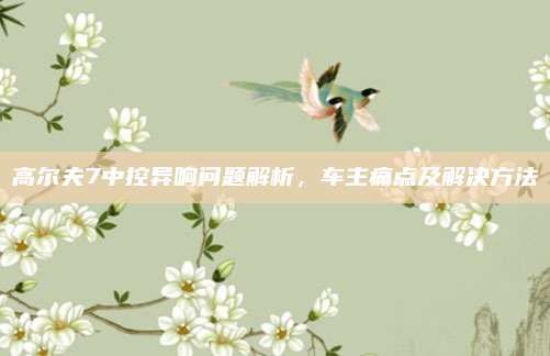高尔夫7中控异响问题解析，车主痛点及解决方法