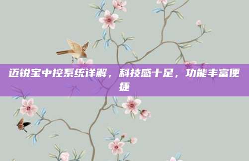 迈锐宝中控系统详解，科技感十足，功能丰富便捷