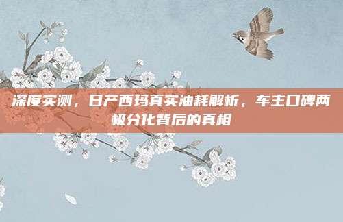 深度实测,日产西玛真实油耗解析,车主口碑两极分化背后的真相