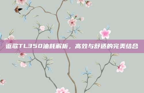 讴歌TL350油耗解析，高效与舒适的完美结合
