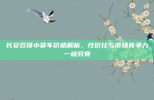 长安双排小货车价格解析，性价比与市场竞争力一窥究竟