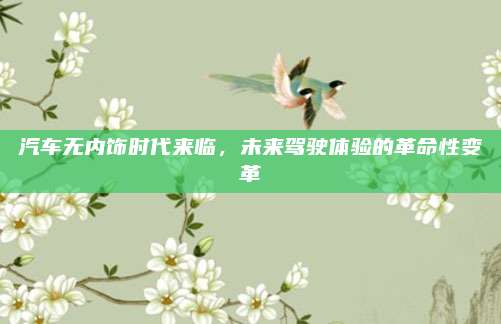 汽车无内饰时代来临，未来驾驶体验的革命性变革