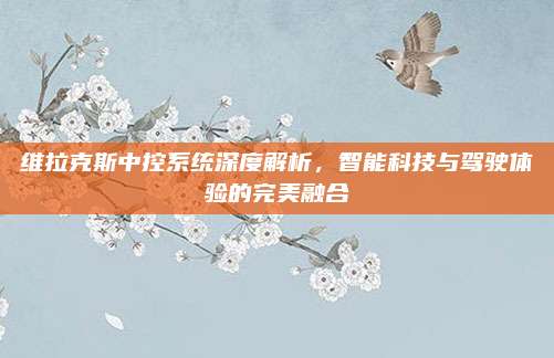 维拉克斯中控系统深度解析，智能科技与驾驶体验的完美融合