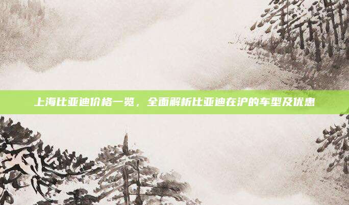 上海比亚迪价格一览，全面解析比亚迪在沪的车型及优惠