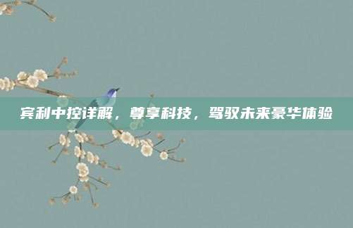 宾利中控详解，尊享科技，驾驭未来豪华体验