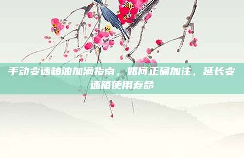 手动变速箱油加满指南,如何正确加注,延长变速箱使用寿命