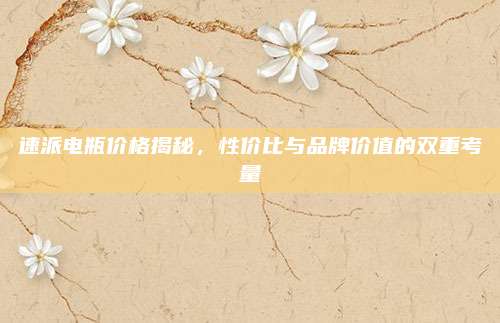 速派电瓶价格揭秘,性价比与品牌价值的双重考量