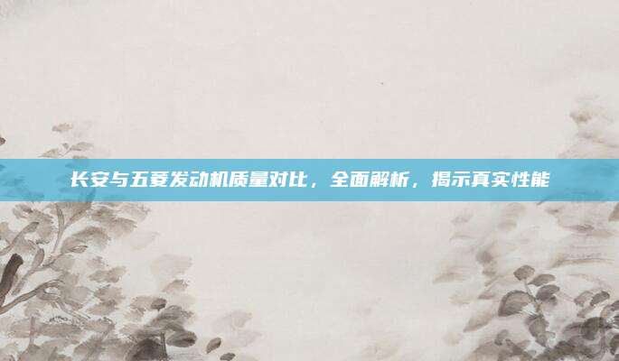 长安与五菱发动机质量对比，全面解析，揭示真实性能