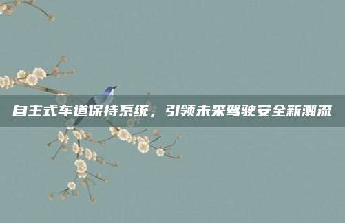 自主式车道保持系统,引领未来驾驶安全新潮流