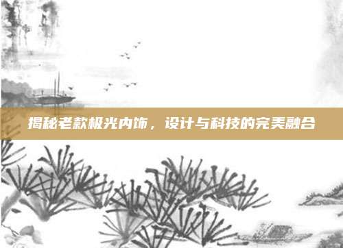 揭秘老款极光内饰，设计与科技的完美融合