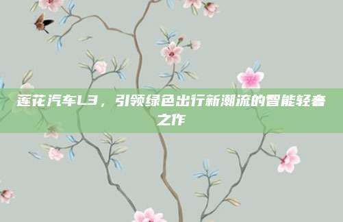 莲花汽车L3,引领绿色出行新潮流的智能轻奢之作