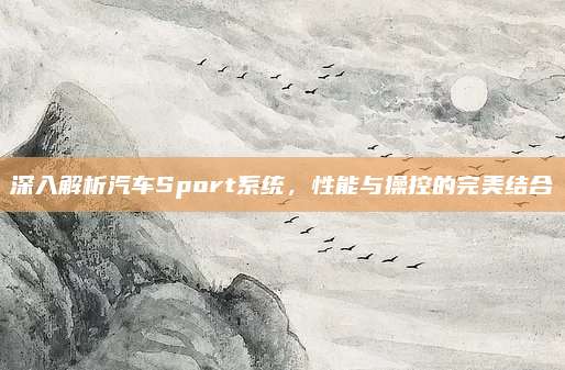 深入解析汽车Sport系统,性能与操控的完美结合