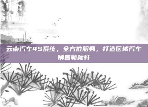 云南汽车4S系统，全方位服务，打造区域汽车销售新标杆