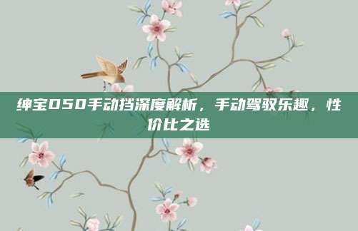 绅宝D50手动挡深度解析，手动驾驭乐趣，性价比之选