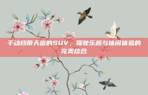 手动档带天窗的SUV,驾驶乐趣与休闲体验的完美结合